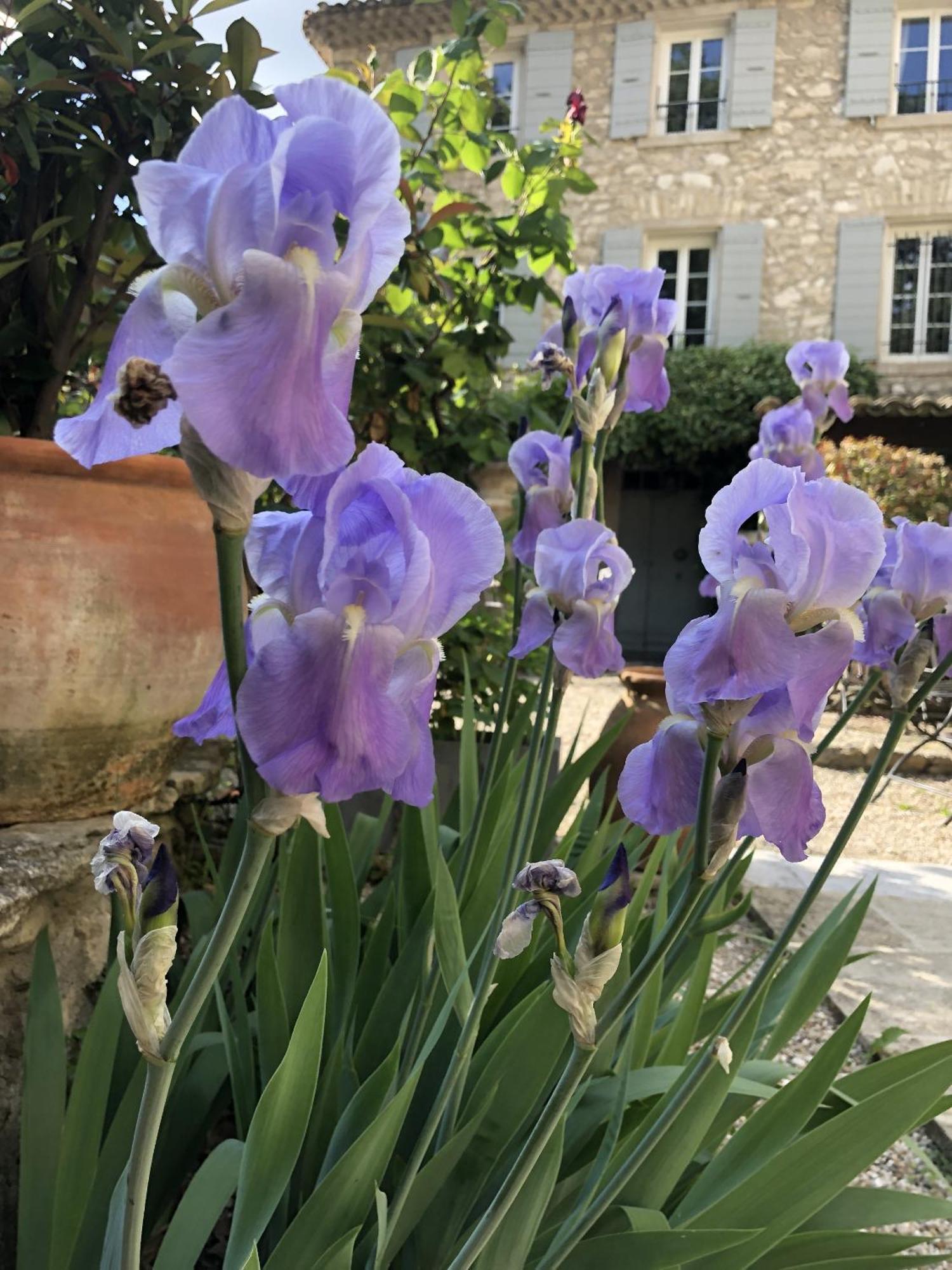 Bed and Breakfast La Figuiere Fontaine De Vaucluse Экстерьер фото