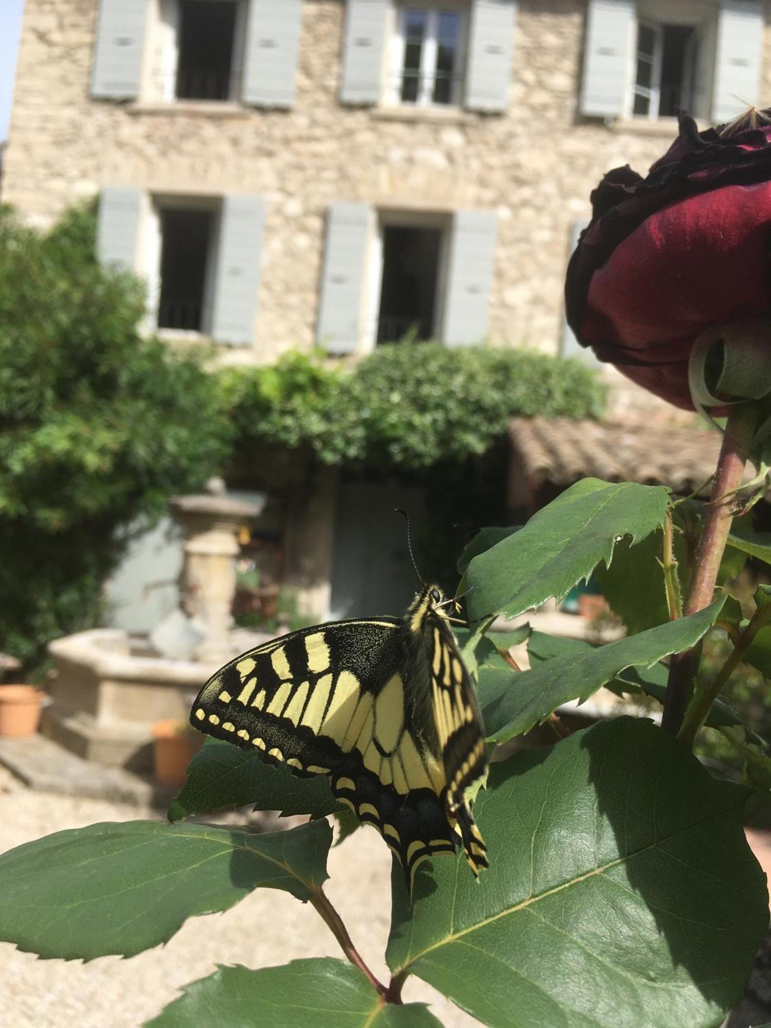 Bed and Breakfast La Figuiere Fontaine De Vaucluse Экстерьер фото